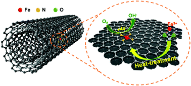 Graphical abstract: Design of Fe,N co-doped multi-walled carbon nanotubes for efficient oxygen reduction