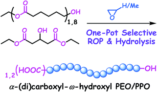 Graphical abstract: Selective polymerization of epoxides from hydroxycarboxylic esters: expediting controlled synthesis of α-carboxyl-ω-hydroxyl polyethers
