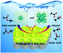 Graphical abstract: A self-confinement synthesis of a POM-decorated MOF thin film for actively hydrolyzing ethyl acetate