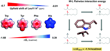 Graphical abstract: CH–π interaction between cross-strand amino acid pairs stabilizes β-hairpins