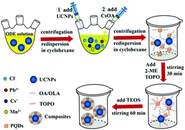 Graphical abstract: Strong upconverting and downshifting emission of Mn2+ ions in a Yb,Tm:NaYF4@NaLuF4/Mn:CsPbCl3 core/shell heterostructure towards dual-model anti-counterfeiting