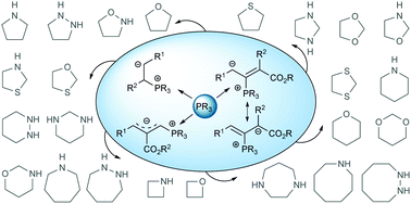 Graphical abstract: Synthesis of heterocyclic compounds through nucleophilic phosphine catalysis