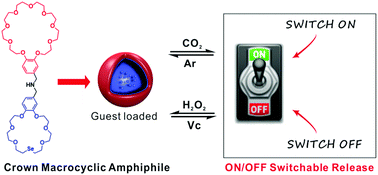 Graphical abstract: Selenium-containing heterodimeric crown ether acting as an unconventional multi-responsive amphiphile in water