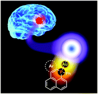 Graphical abstract: Gold(i) complexes based on six-membered phosphorus heterocycles as bio-active molecules against brain cancer