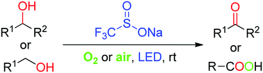 Graphical abstract: A sodium trifluoromethanesulfinate-mediated photocatalytic strategy for aerobic oxidation of alcohols