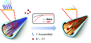 Graphical abstract: In situ detection of hydroxyl radicals in mitochondrial oxidative stress with a nanopipette electrode