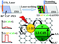 Graphical abstract: Laser-induced nano-bismuth decorated CdS–graphene hybrid for plasmon-enhanced photoelectrochemical analysis