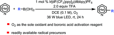 Graphical abstract: Visible-light-mediated photoredox minisci C–H alkylation with alkyl boronic acids using molecular oxygen as an oxidant