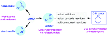 Graphical abstract: Radical chemistry of nitrosoarenes: concepts, synthetic applications and directions