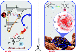 Graphical abstract: Proof-of-principle for two-stage photodynamic therapy: hypoxia triggered release of singlet oxygen