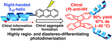 Graphical abstract: Remote-controlled regio- and diastereodifferentiating photodimerization of a dynamic helical peptide-bound 2-substituted anthracene