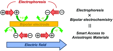 Graphical abstract: Bipolar electrochemistry in synergy with electrophoresis: electric field-driven electrosynthesis of anisotropic polymeric materials