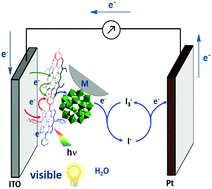 Graphical abstract: Enhancement of photocurrent by incorporation of Preyssler type polyoxometalate protected nanoparticles in polyporphyrin films