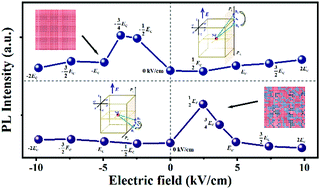 Graphical abstract: Broad bandwidth emission and in situ electric field modulation of photoluminescence in Nd-doped ferroelectric crystals