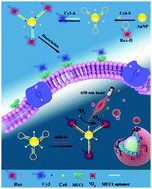 Graphical abstract: Cancer cell-targeted nanoprobe for multilayer imaging of diverse biomarkers and precise photodynamic therapy