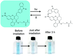 Graphical abstract: Negative photochromism of a blue cyanine dye