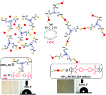 Graphical abstract: Self-healable hydrophobic polymer material having urethane linkages via a non-isocyanate route and dynamic Diels–Alder ‘click’ reaction