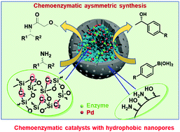 Graphical abstract: Co-immobilization of metal and enzyme into hydrophobic nanopores for highly improved chemoenzymatic asymmetric synthesis