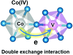 Graphical abstract: Double exchange interaction promoted high-valence metal sites for neutral oxygen evolution reaction