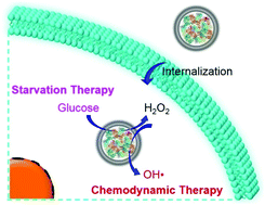 Graphical abstract: A self-accelerated biocatalyst for glucose-initiated tumor starvation and chemodynamic therapy