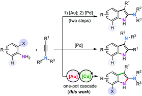 Graphical abstract: Facile one-pot synthesis of 2-aminoindoles from simple anilines and ynamides