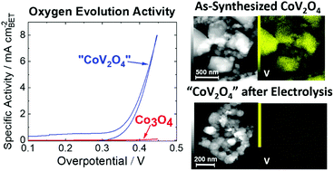 Graphical abstract: A CoV2O4 precatalyst for the oxygen evolution reaction: highlighting the importance of postmortem electrocatalyst characterization