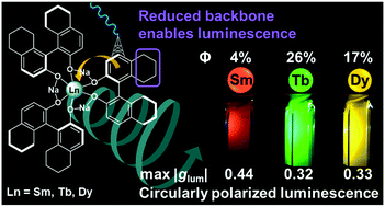 Graphical abstract: High circularly polarized luminescence brightness from analogues of Shibasaki's lanthanide complexes