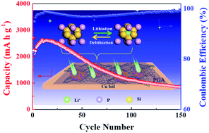 Graphical abstract: A multifunctional anode with P-doped Si nanoparticles in a stress-buffering network of poly-γ-glutamate and graphene