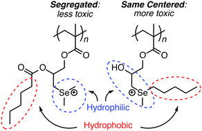 Graphical abstract: Polyselenonium salts: synthesis through sequential selenium-epoxy ‘click’ chemistry and Se-alkylation