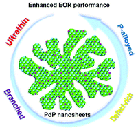 Graphical abstract: Highly branched and defect-rich PdP nanosheets for ethanol oxidation electrocatalysis