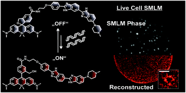 Graphical abstract: Far-red switching DNA probes for live cell nanoscopy