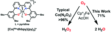 Graphical abstract: Reduction of dioxygen to water by a Co(N2O2) complex with a 2,2′-bipyridine backbone