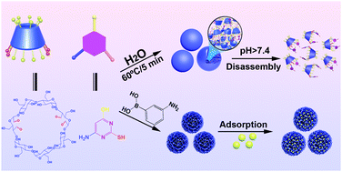 Graphical abstract: Rapid synthesis of multifunctional β-cyclodextrin nanospheres as alkali-responsive nanocarriers and selective antibiotic adsorbents