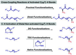 Graphical abstract: Palladium-catalyzed functionalizations of acidic and non-acidic C(sp3)–H bonds – recent advances