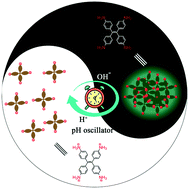Graphical abstract: Dissipative aggregation-induced emission behaviour of an amino-functionalized tetraphenylethene using a pH oscillator