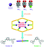 Graphical abstract: Tuning the configuration of the flexible metal–alkene-framework affords pure cycloisomers in solid state photodimerization