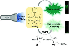 Graphical abstract: Selective detection of chemical warfare agents VX and Sarin by the short wavelength inner filter technique (SWIFT)