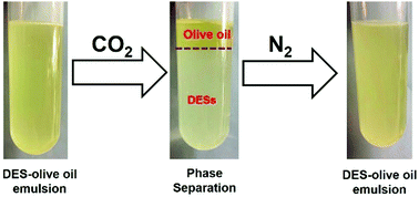 Graphical abstract: CO2 switchable deep eutectic solvents for reversible emulsion phase separation