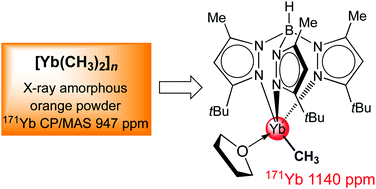 Graphical abstract: Polymeric dimethylytterbium and the terminal methyl complex (TptBu,Me)Yb(CH3)(thf)