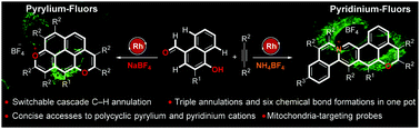 Graphical abstract: Switchable cascade C–H annulation to polycyclic pyryliums and pyridiniums: discovering mitochondria-targeting fluorescent probes