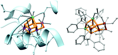 Graphical abstract: Pentanuclear clusters resembling the cubane-dangler connectivity in the native oxygen-evolving center of photosystem II