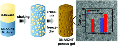 Graphical abstract: Versatile synthesis of a highly porous DNA/CNT hydrogel for the adsorption of the carcinogen PAH