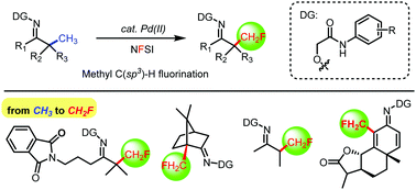 Graphical abstract: Regioselective C(sp3)–H fluorination of ketones: from methyl to the monofluoromethyl group