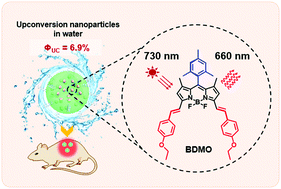 Graphical abstract: Highly efficient BODIPY-doped upconversion nanoparticles for deep-red luminescence bioimaging in vivo
