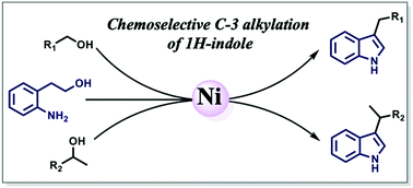 Graphical abstract: Nickel-catalysed chemoselective C-3 alkylation of indoles with alcohols through a borrowing hydrogen method