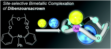 Graphical abstract: Dibenzoarsacrowns: an experimental and computational study on the coordination behaviors
