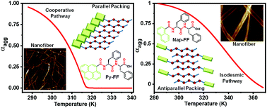 Graphical abstract: Tuning the mechanistic pathways of peptide self-assembly by aromatic interactions