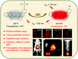 Graphical abstract: Real-time imaging of alkaline phosphatase activity of diabetes in mice via a near-infrared fluorescent probe