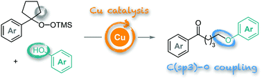 Graphical abstract: Cu-Catalyzed O-alkylation of phenol derivatives with alkylsilyl peroxides