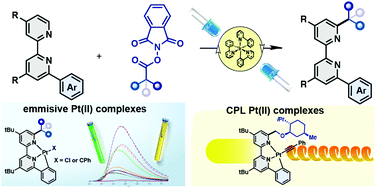 Graphical abstract: Access to functionalized luminescent Pt(ii) complexes by photoredox-catalyzed Minisci alkylation of 6-aryl-2,2′-bipyridines